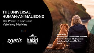 The Universal Human Animal Bond The Power to Transform Veterinary Medicine [upl. by Aihtebat]