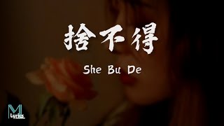 Di Li Re Ba 迪麗熱巴  She Bu De 捨不得 Lyrics 歌词 PinyinEnglish Translation 動態歌詞 [upl. by Pellikka]