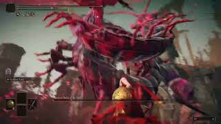 Elden Ring Shadow of the Erdtree  VS Romina No damage Parry Kill [upl. by Dita]