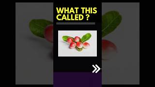 Can you name these Unique Indian fruits dailyenglish english voacbulary learnenglish [upl. by Palermo995]