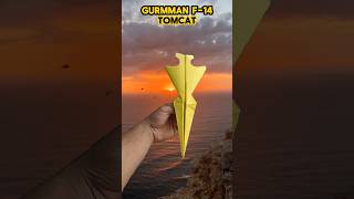 GURMANN F14 Tomcat Takes FLIGHT 114 shorts paperplane paperairplane [upl. by Shir850]