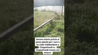 Secondo video del parco giochi per i cani Cinquefrondi rc e uno schifo totale [upl. by Ahcsrop]