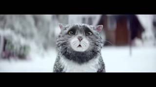 Sainsbury’s OFFICIAL Christmas Advert 2015 – Mog’s Christmas Calamity [upl. by Naujid384]