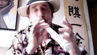 Xaphoon Pocket Sax Demo Lesson 2 Playing a Scale [upl. by Amick325]