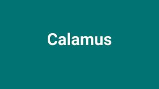 Calamus Meaning and Pronunciation [upl. by Mirella513]