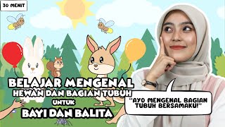 Belajar Untuk Bayi Dan Balita  Mengenal Anggota Tubuh Nursery Rhymes Untuk Bayi Dan Balita [upl. by Calia264]