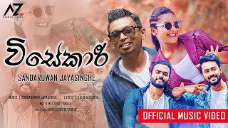 Visekari විසේකාරි  Teledrama Theme Song   Sandaruwan Jaysinghe  Official Music Video [upl. by Verneuil475]