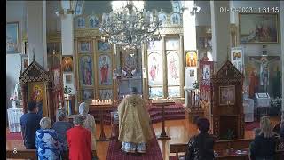 Ukrainian Autocephalous Orthodox Church Essendon servise [upl. by Mahtal297]