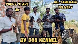 best dog kennel in Trichypuppy sale at low price tamilnadu full deliveryBV pets trichypets life [upl. by Grantland]