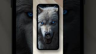 Best wallpaper phone Wolf shorts wolf animals wallpaper [upl. by Virge]