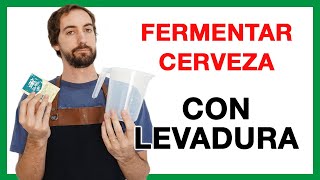 🧪 Cómo preparar un STARTER de LEVADURA SECA para FERMENTAR CERVEZA Hidratar levadura Tutorial 36 [upl. by Biamonte]