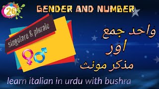 26 Singolare plurale maschile e femminile  learn italian in urdu [upl. by Cirilla]