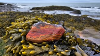 Rockhounding Port Lorne Nova scotias Bay of Fundy [upl. by Eimaj]