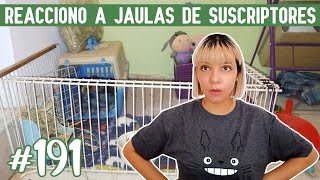 REACCIONO a JAULAS para CUYOS 😃 ¡De mis suscriptores [upl. by Chelsae]