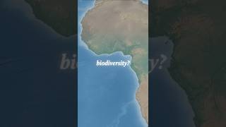 Which Country Has the Most Biodiversity 🦜 GeographyFacts Nature Biodiversity [upl. by Lyell]