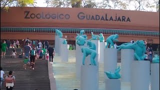 Zoologico de Guadalajara Jalisco [upl. by Kathryne]