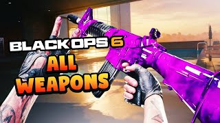 All Black Ops 6 Weapons REVEALED [upl. by Skipper]