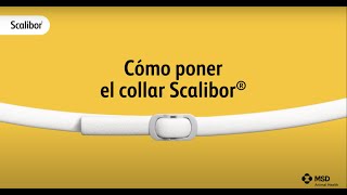 ¿Cómo poner el collar Scalibor®  Scalibor® [upl. by Hennahane]