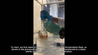 STB 3053  Lab 1  Video 3 how the absorbance measurement of fermentation samples is carried out [upl. by Enileda363]