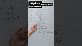 Algebraic Expressions introduction introduced of Algebraic expression [upl. by Bowie]