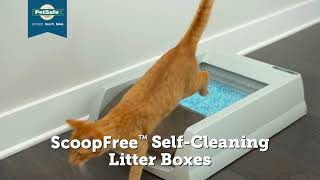 ScoopFree™ SelfCleaning Litter Boxes Original amp Ultra – Overview [upl. by Yusem]