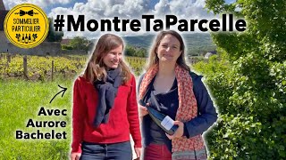 MontreTaParcelle  Aurore Bachelet en Bourgogne  🍇🍷 [upl. by Udale]