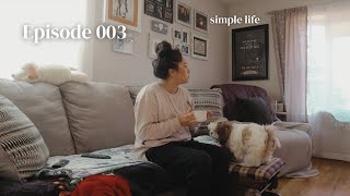 Simple life with three dogs [upl. by Terrie648]