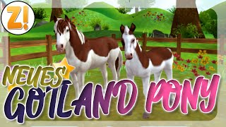 Das NEUE GOTLAND PONY ist DA 🐴 SSO HORSES  Star Stable SSO [upl. by Leamiba356]