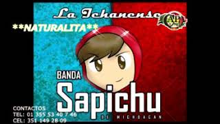 La Ichanense Banda Sapichu Nuralita Banda Sapichu 2018  PIREKUA  PIREKUAS DE MICHOACAN PURÉPECHA [upl. by Enitnatsnoc]