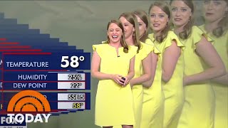 TV Meteorologist Gets Duplicated In Hilarious Green Screen Mishap [upl. by Cato]