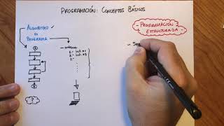 Programación Conceptos Básicos [upl. by Velda]