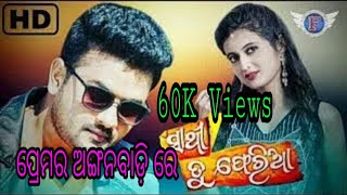 Premar angan badire new odia song sathi Tu pheria new film release song full mp3 [upl. by Ellekcir]