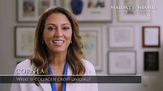 What Is Collagen CrossLinking  MaloneyShamie Vision Institute [upl. by Vida546]