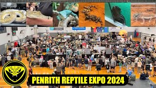 Penrith Reptile Expo 2024 [upl. by Dermot]