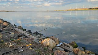 Unexpected Day Fishing At Sherman Island On The Sacramento River [upl. by Joao]