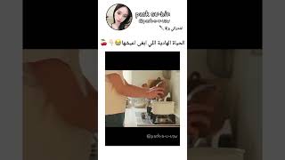 ياخي راحة🥹✨subscribetikeلايك likeshortfollow girlsadvicetrending schoolstudybtshaul [upl. by Jordana]