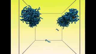 Selfassembly of polyelectrolyte diblock copolymers in aqueous solutions [upl. by Asenev]