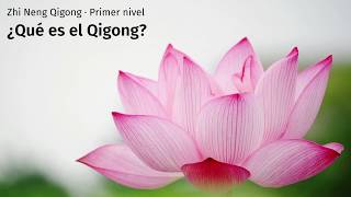 Zhi Neng Qigong Nivel 1 Teoria  02 Que es el Qigong [upl. by Aelram455]