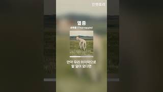 멸종  쏜애플 Thornapple [upl. by Julita]