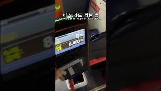 버스 카드 찍는 법 How to get through with a bus card shorts [upl. by Mimajneb648]