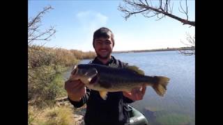 Bass Fishing SA Potchefstroom dam [upl. by Nodmac75]