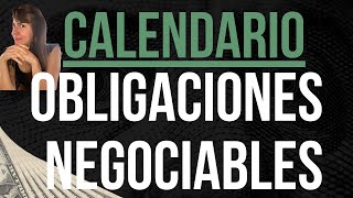 OBLIGACIONES NEGOCIABLES ingresospasivos en dolares CALENDARIO 2023 [upl. by Aduhey]