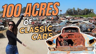 The Worlds LARGEST Junkyard – Classic Chevrolets Fords Mopars Pontiacs and More [upl. by Guise]