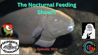 The Nocturnal Feeding Show EP 30 [upl. by Lehplar]