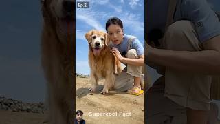 Alex Ne Machli pakad li🐠😍 dog funny pets story [upl. by Handler]