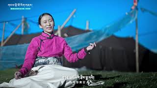 New Tibetan Song 2023 དབྱངས་ཅན་མེ་ཏོག Yangchen Metok [upl. by Nylzaj]