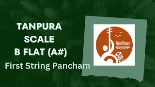 Tanpura B Flat  A  First String  Pa [upl. by Arihsay]