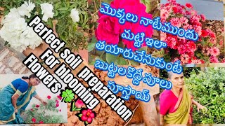 మొక్కలు నాటేముందు మట్టి ఇలా తయారుచేసి నాటారంటే పూలు విరగపూస్తాయ్ gardening  planting trending [upl. by Burford]