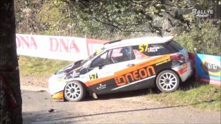 compilation crash 2011 rallye france [upl. by Nazario]