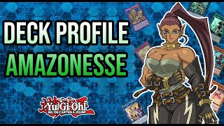 YUGIOH DECK PROFILE AMAZONESSE [upl. by Heinrike]